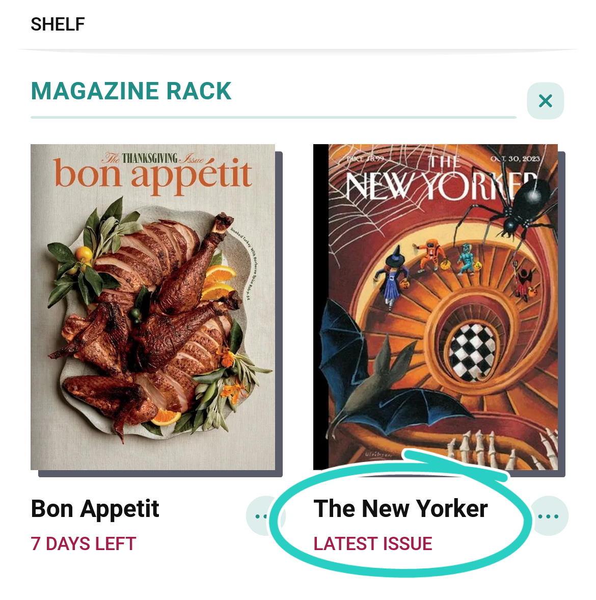 Magazine Rack with the latest issue label, under the magazine name and cover image, circled
