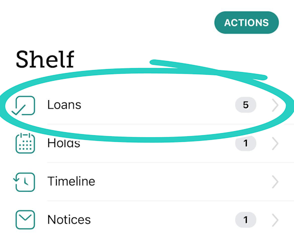 Shelf screen with loans highlighted