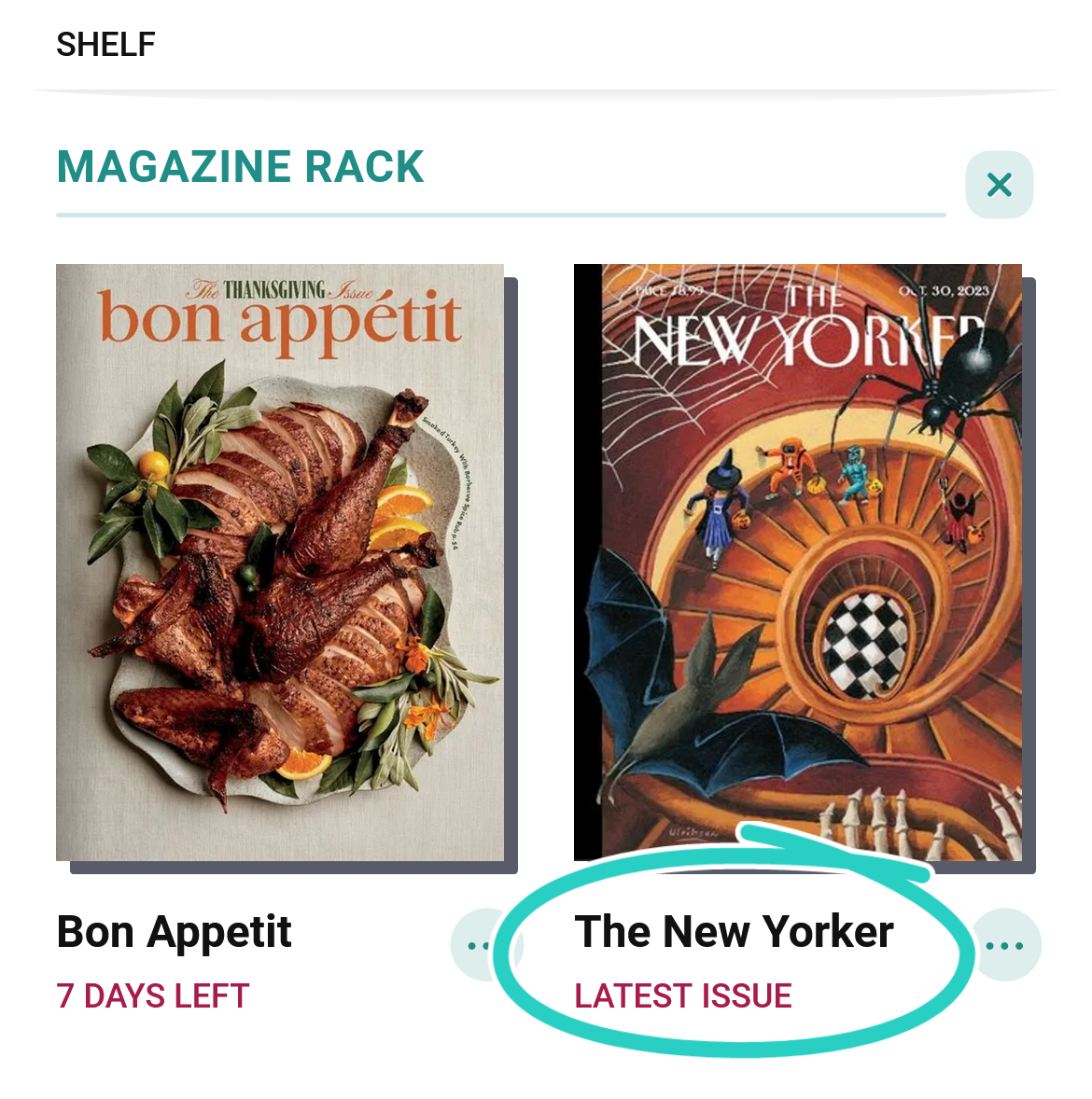 Revistero con la etiqueta del último número, debajo del nombre de la revista y la imagen de la portada, en un círculo