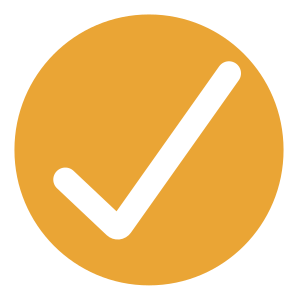 Icona con segno di spunta